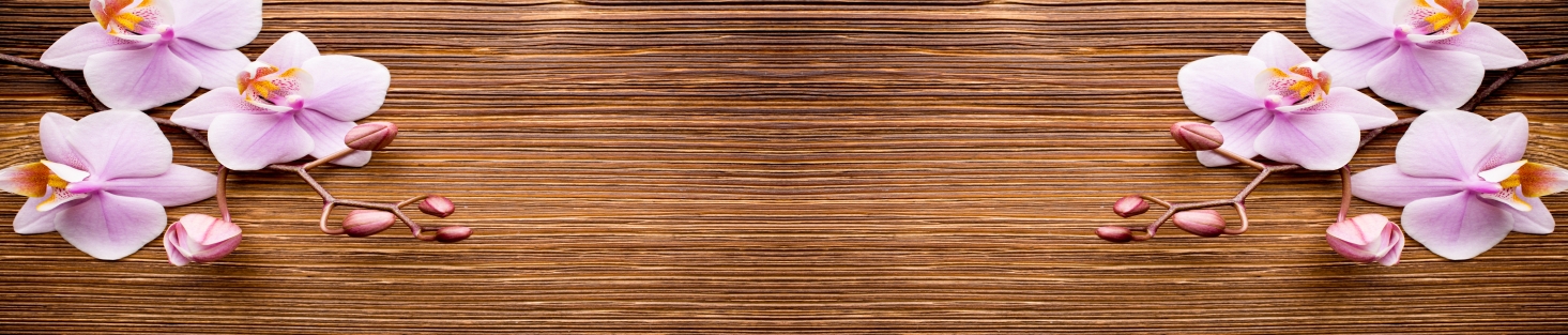 SP 00370